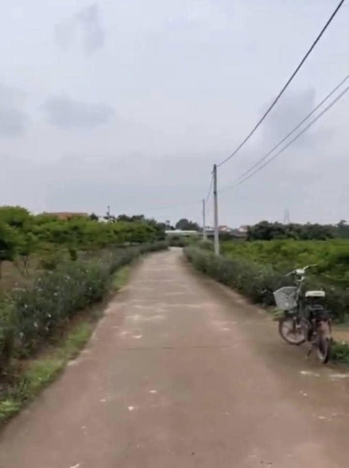 Lô đất vườn 2246m² giá 1.2 tỷ - Đầu tư sinh lời tại Bình Khê, Đông Triều!