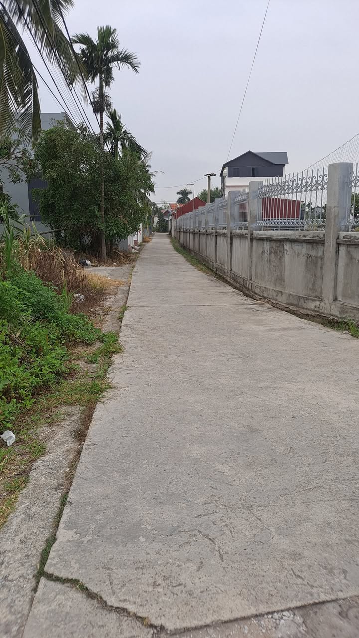 Đất nền Hòa Nghĩa Dương Kinh 59m² giá 600 triệu - Cơ hội đầu tư hấp dẫn!