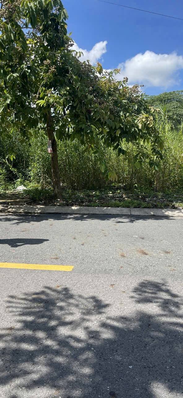 Đất nền phường 6, Cao Lãnh, Đồng Tháp 85m² giá 1.6 tỷ - Sẵn sàng xây dựng ngay!