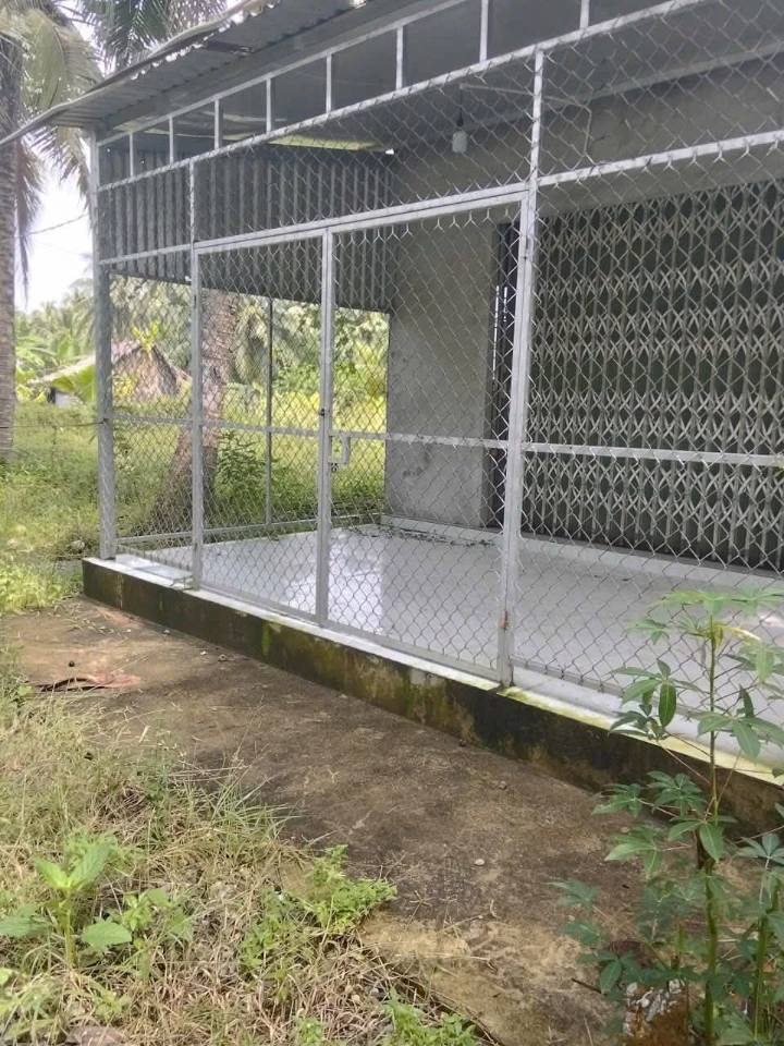 Đất nền Long Mỹ Giồng Trôm 526,7m² giá chỉ 550 triệu - Cơ hội đầu tư hấp dẫn!