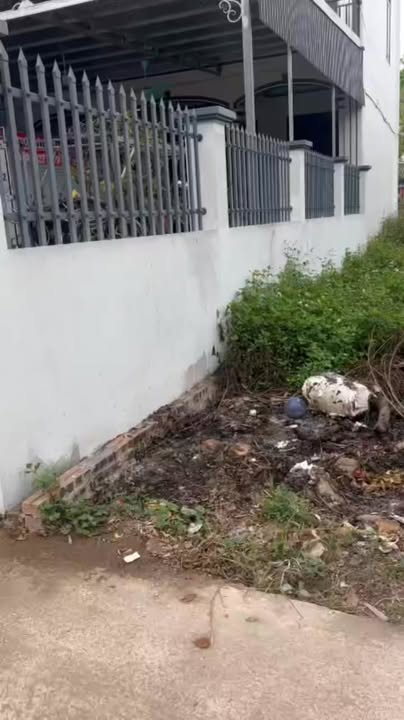 Đất thổ cư Vân Nam - Phúc Thọ 65m² & 57m² giá chỉ 2.48 tỷ - Đầu tư sinh lời ngay!