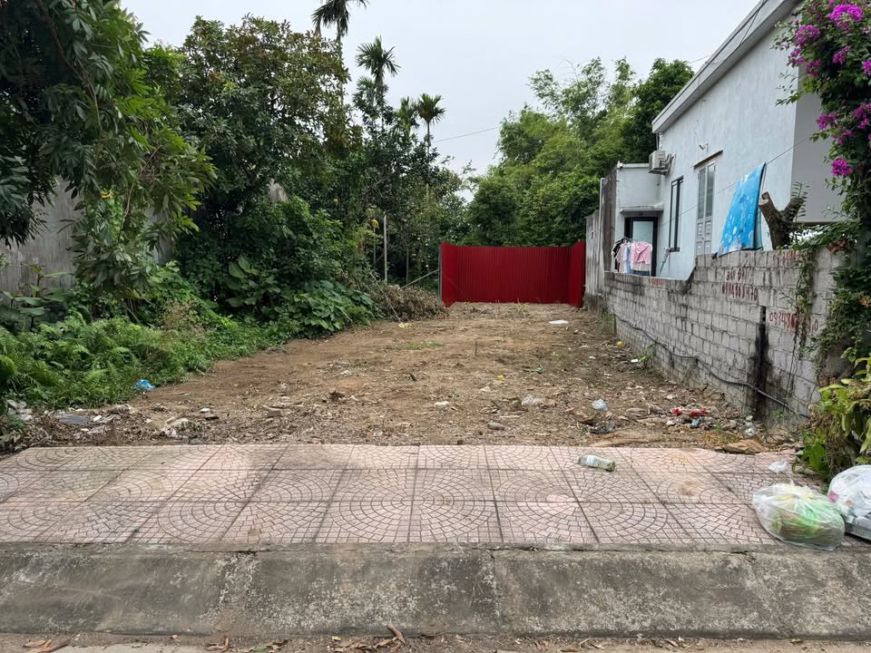 Lô đất 150m² mặt đường Cẩm La - Kiến Thụy, Hải Phòng chỉ 2.5 tỷ - Đầu tư sinh lời ngay!