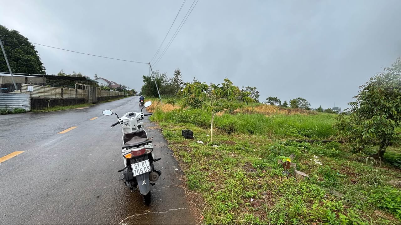 Đất mặt tiền đường Nguyễn Trãi, Bảo Lộc 148m² giá 1.95 tỷ - Tiềm năng đầu tư lớn!