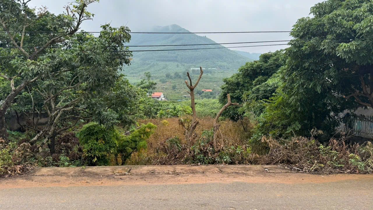 Nhà mặt tiền Huyền Sơn Lục Nam 136m² giá 1 tỷ - Kinh doanh đỉnh cao!