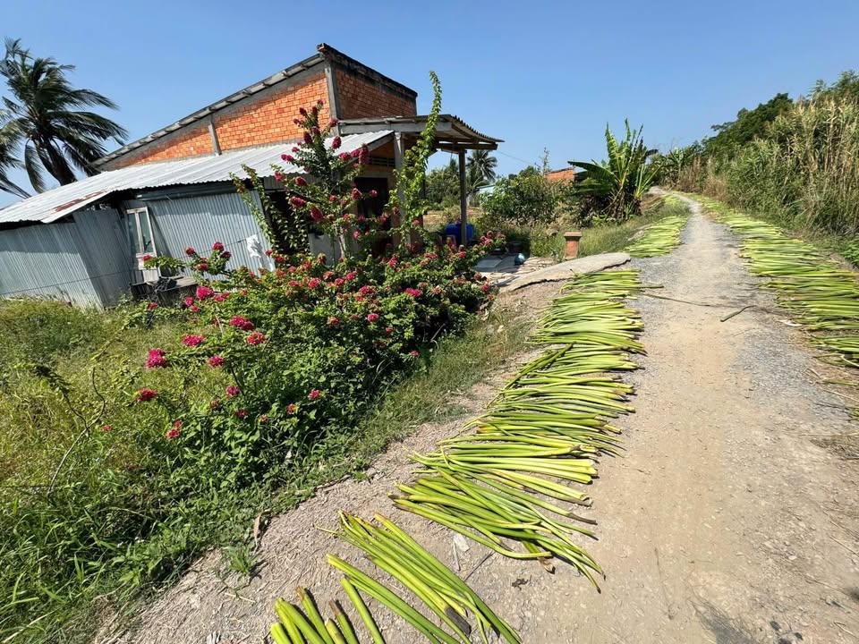 Đất nền Tân Phú, Tam Bình 851m² giá 280 triệu - Đầu tư sinh lời lý tưởng!