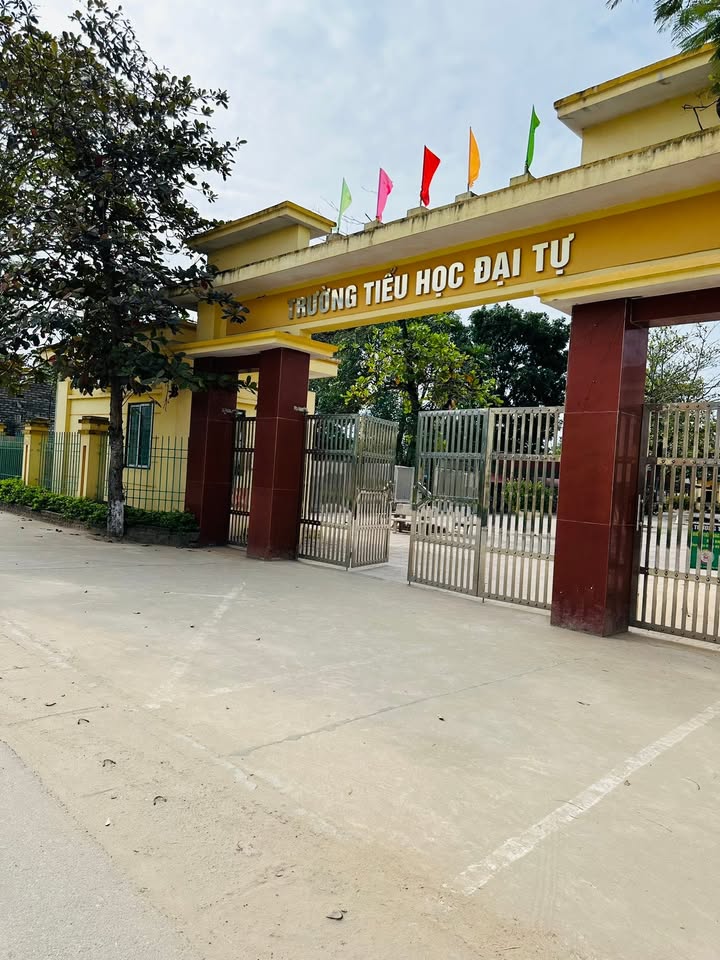 Lô góc FrontHouse 110m² tại Đại Tự, Yên Lạc - Vị trí đắc địa, sẵn sàng kinh doanh!