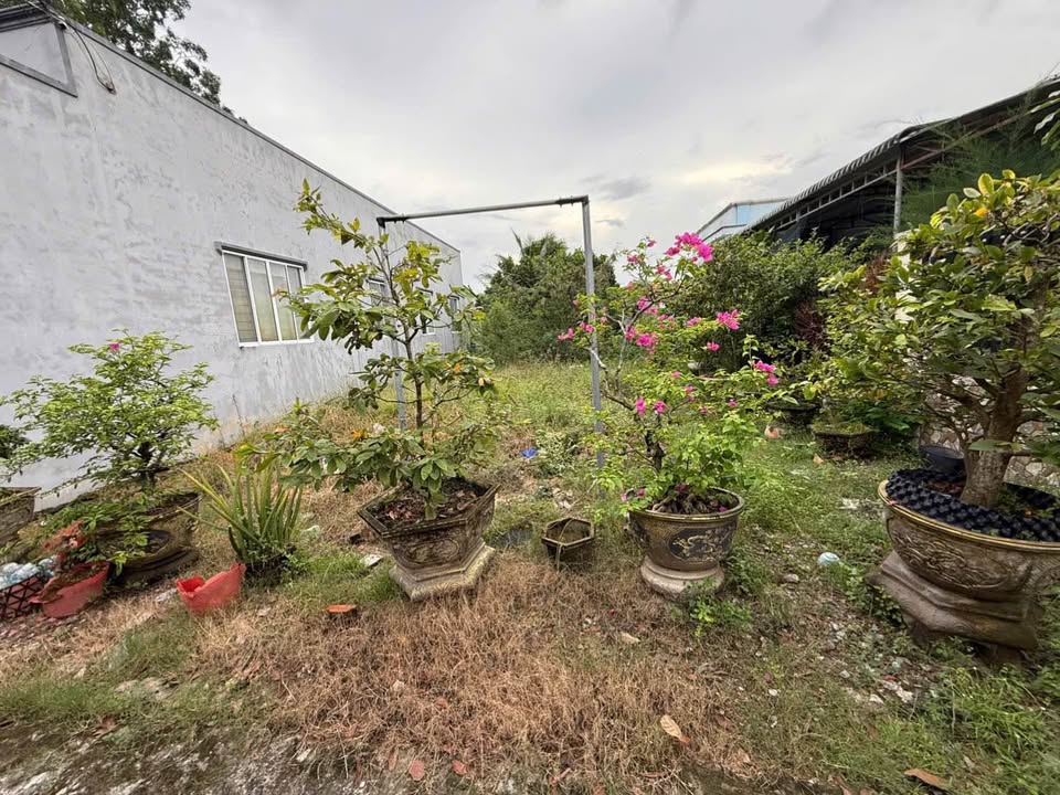 Đất thổ cư Khánh Hậu, Tân An 149m² giá 1.2 tỷ - Khu vực an ninh, yên tĩnh!