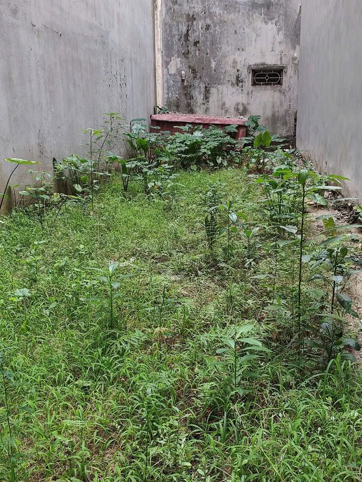 Đất nền Phú Thượng Tây Hồ 50m² giá 8.3 tỷ - Đường ô tô tránh, vị trí đắc địa!