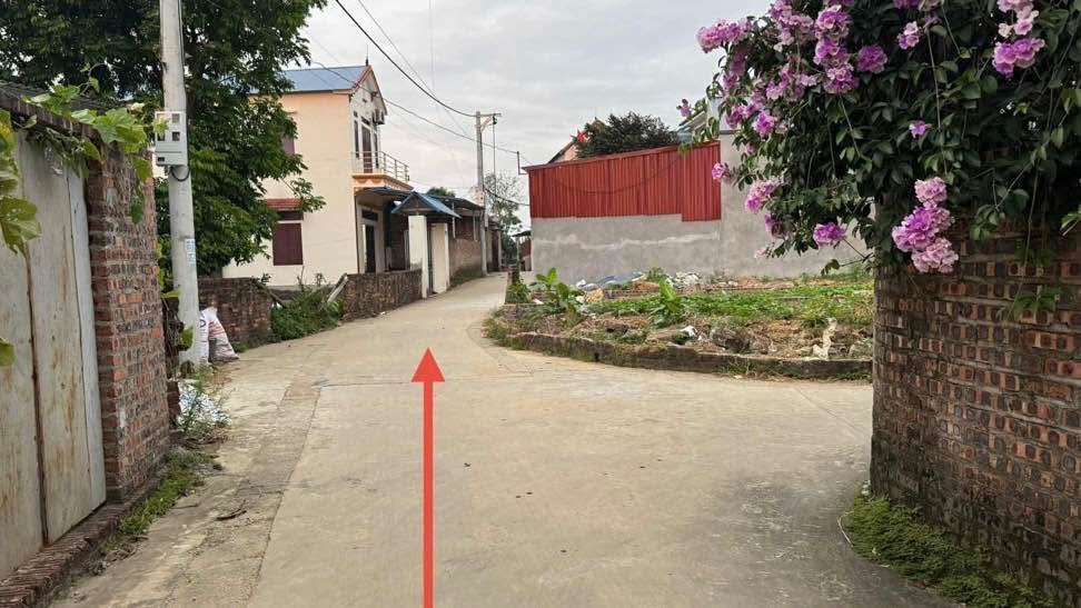 Đất thổ cư Tân Minh, Sóc Sơn, Hà Nội 100.5m² - Mặt tiền 5m, Đường vào ô tô tải