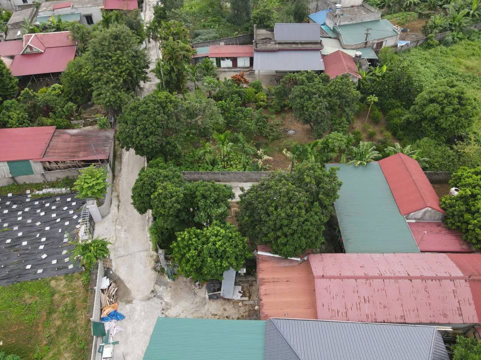 Đất Nền 200m² tại Nhuận Trạch, Chương Mỹ - Giá chỉ 1 tỷ, Sổ đỏ chính chủ!