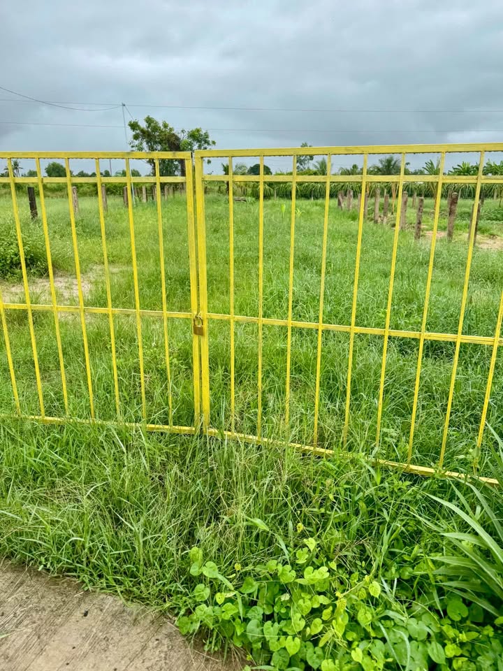 Đất nền 1200m² xã Hàm Liêm, giá chỉ 600 triệu - Tiềm năng đầu tư lớn!