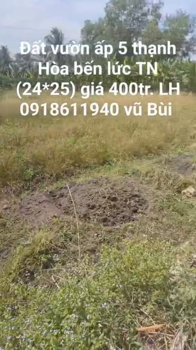 Đất vườn 608m² tại ấp 5 Thạnh Hòa, Bến Lức giá 400 triệu - Cơ hội đầu tư tuyệt vời!