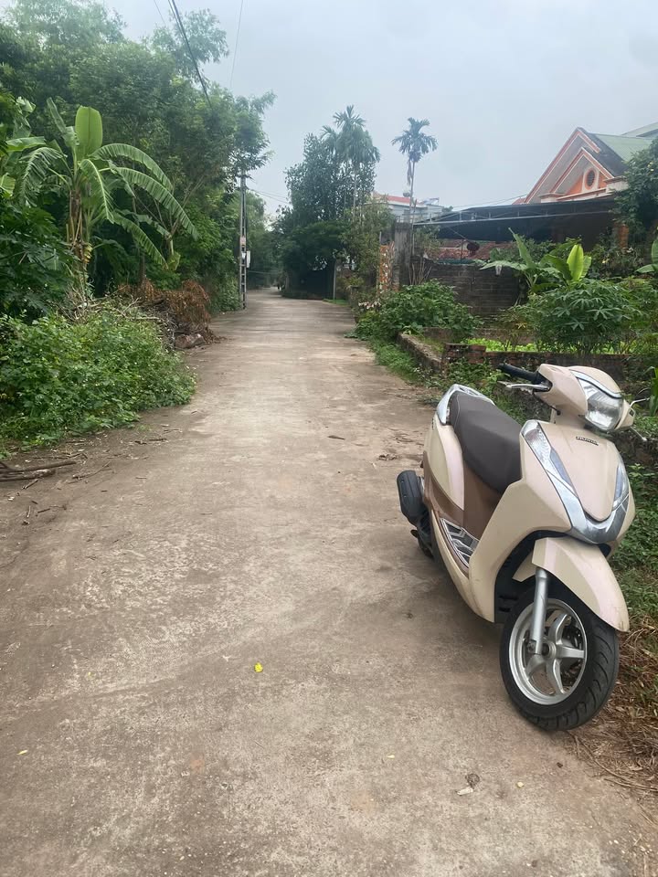 Đất nền Phường Việt Trì 101m² giá 1.9 tỷ - Tiềm năng đầu tư cao!