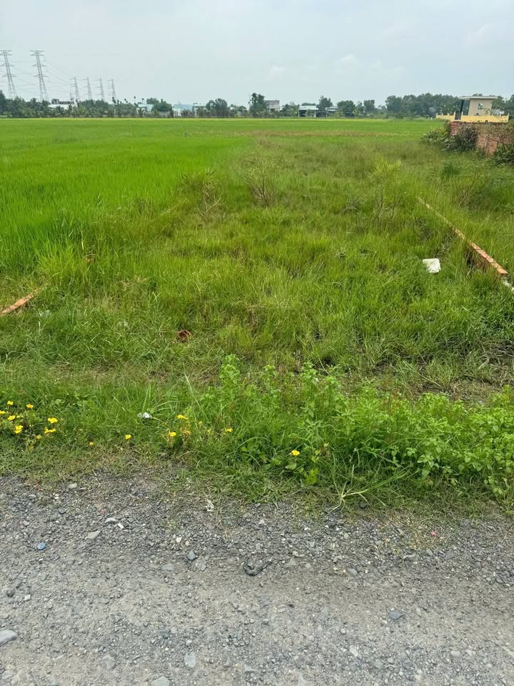 Đất nền Hòa Khánh Đông, Đức Hòa, Long An 145m² giá 900 triệu - Đầu tư sinh lời hấp dẫn!