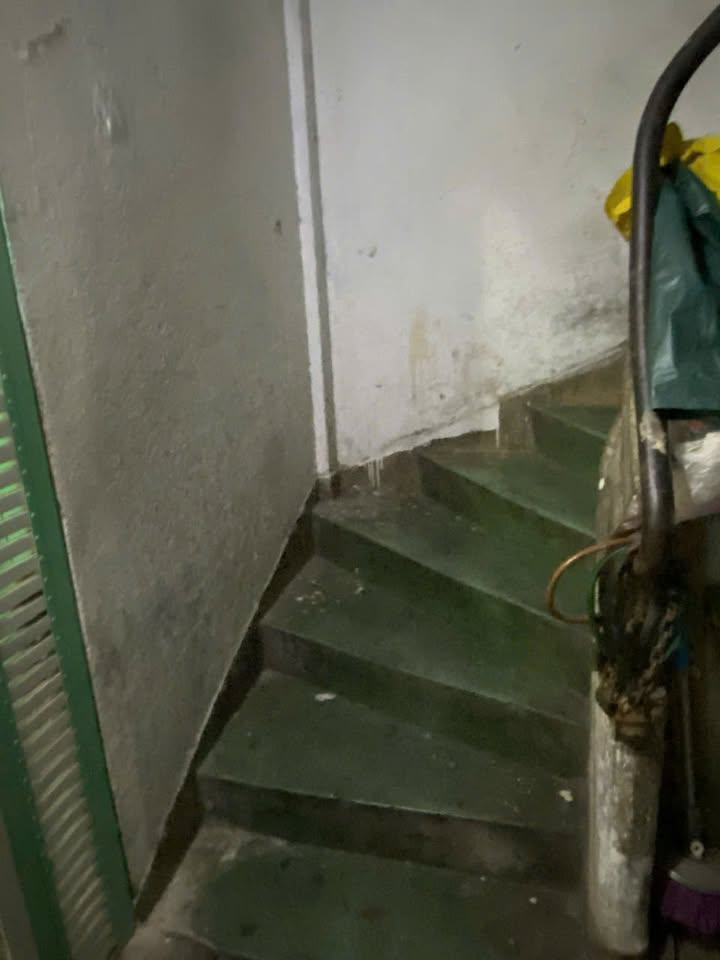 Căn hộ Trần Hưng Đạo, Q1, 50m² giá 3.9 tỷ - Cơ hội vàng không thể bỏ lỡ!