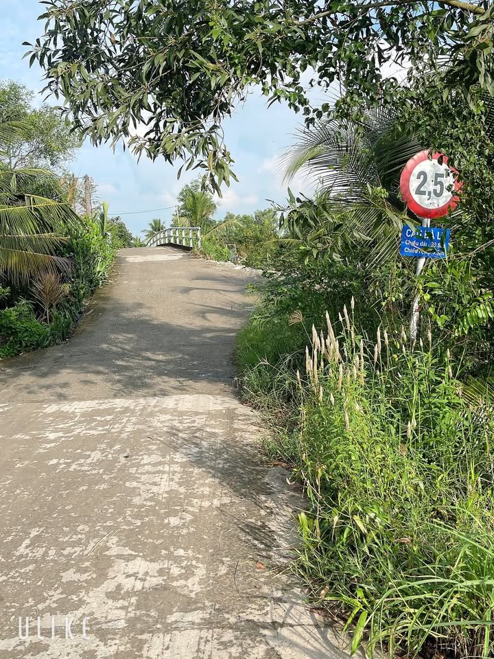 Đất vườn 2541m² xã Lương Hòa - Giá chỉ 1.2 tỷ - Cơ hội đầu tư hấp dẫn!