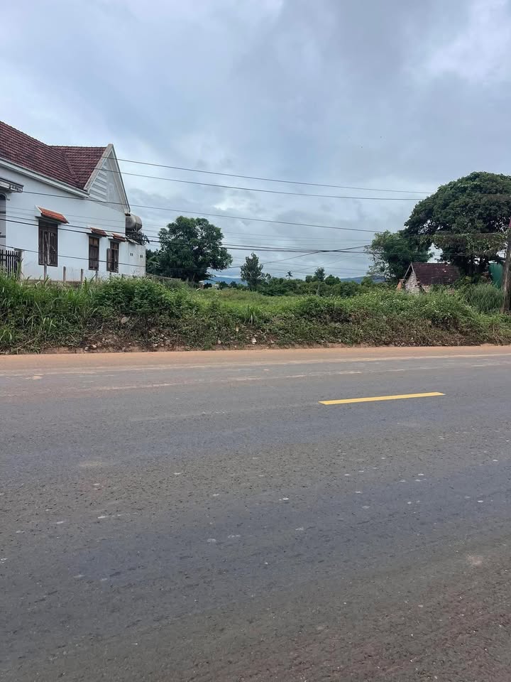 Đất nền mặt tiền QLO14, xã Ea H'Leo, Đắk Lắk - Diện tích 1650m², giá chỉ 313 triệu!