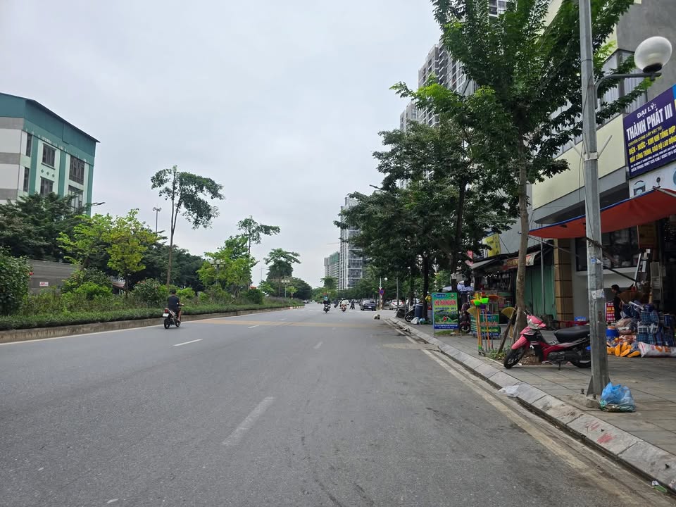 Đất mặt đường Lý Thánh Tông, Gia Lâm 101m² giá 21.8 tỷ - Tiềm năng tăng giá mạnh!