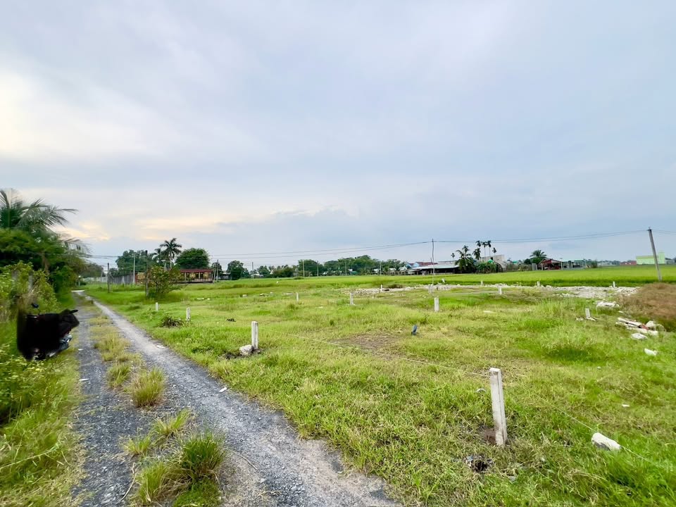 Đất thổ cư 140m² tại Mỹ Hạnh, Đức Hòa chỉ 700 triệu - Sẵn sàng đầu tư!