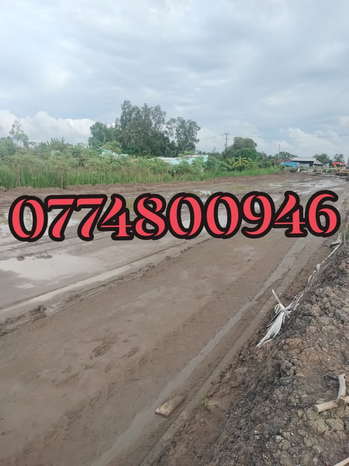 Đất thổ cư Gò Công Đông 334m² giá chỉ 629 triệu - Cơ hội đầu tư hiếm có!