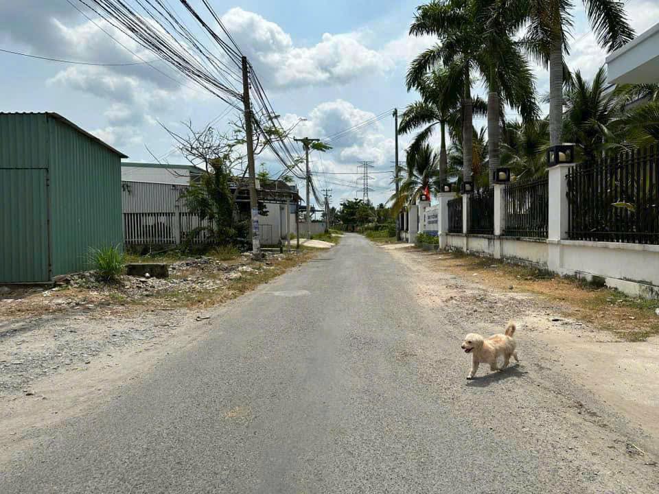 Bán kho xưởng mặt tiền Garage Bình Phát 428m² - Giá 6 tỷ thương lượng ngay!