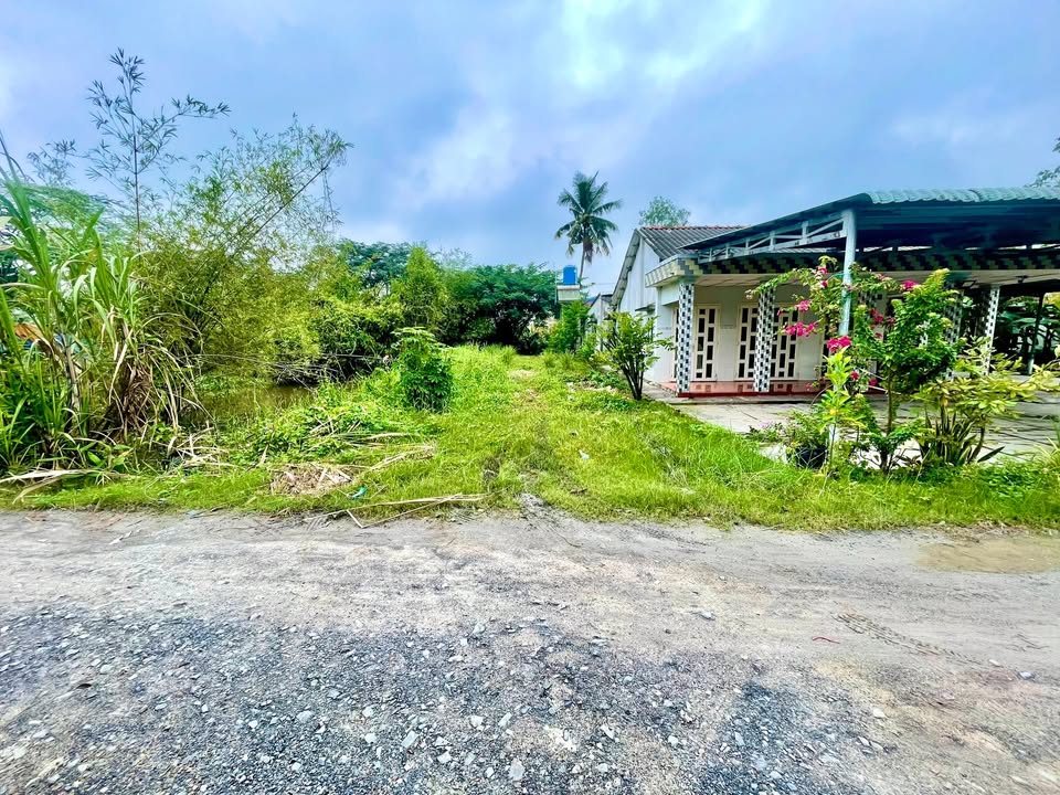 Đất thổ cư 180m² tại Mỹ Hạnh, Đức Hòa giá chỉ 1.55 tỷ - Cơ hội đầu tư hấp dẫn!