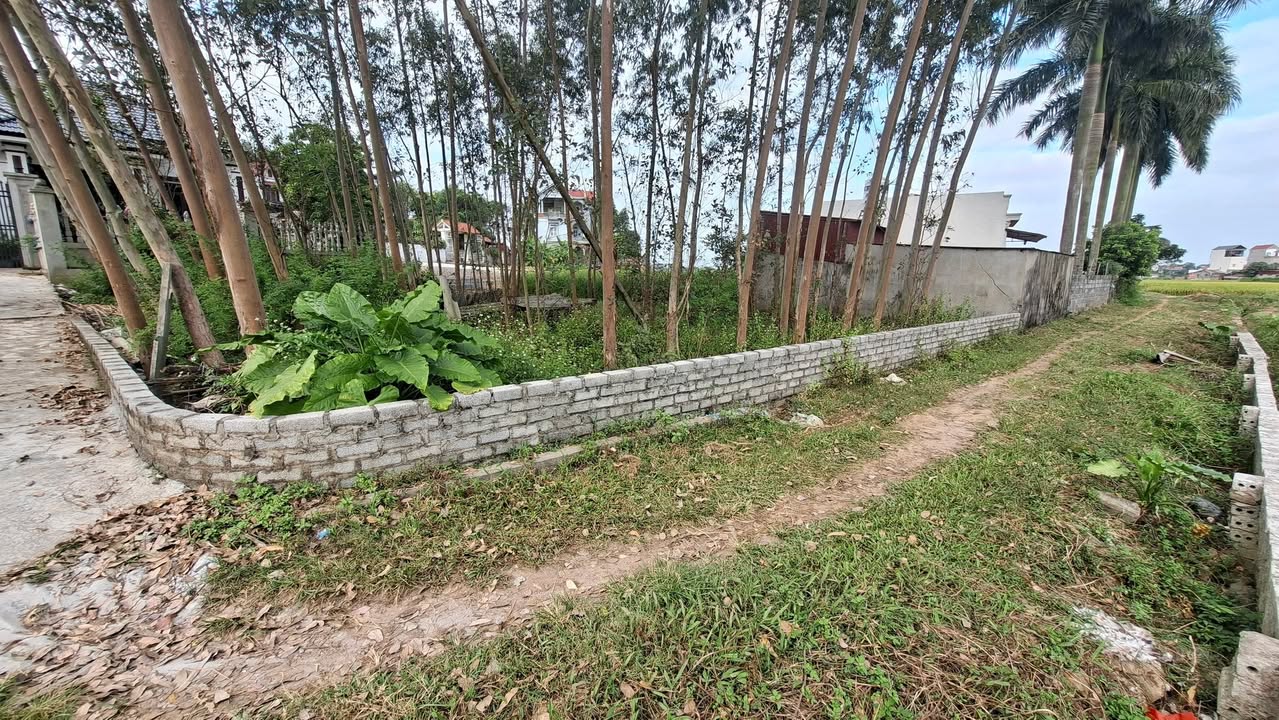 Đất nền Tân An, Bắc Giang 291m² - Lô góc đẹp, sổ đỏ chính chủ!