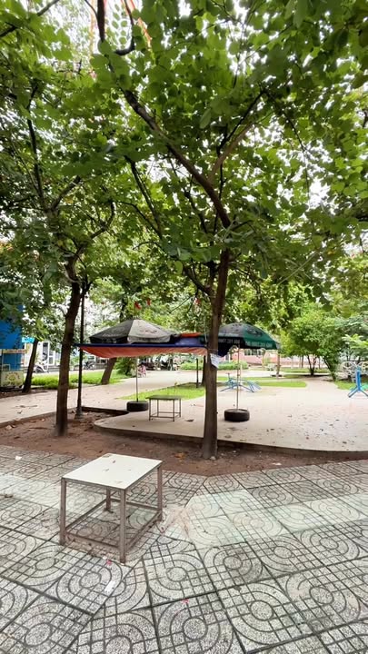 Nhà phố Bùi Minh Trực, Quận 8, 42m² giá 5 tỷ - Ô tô đỗ cửa, tiện kinh doanh!