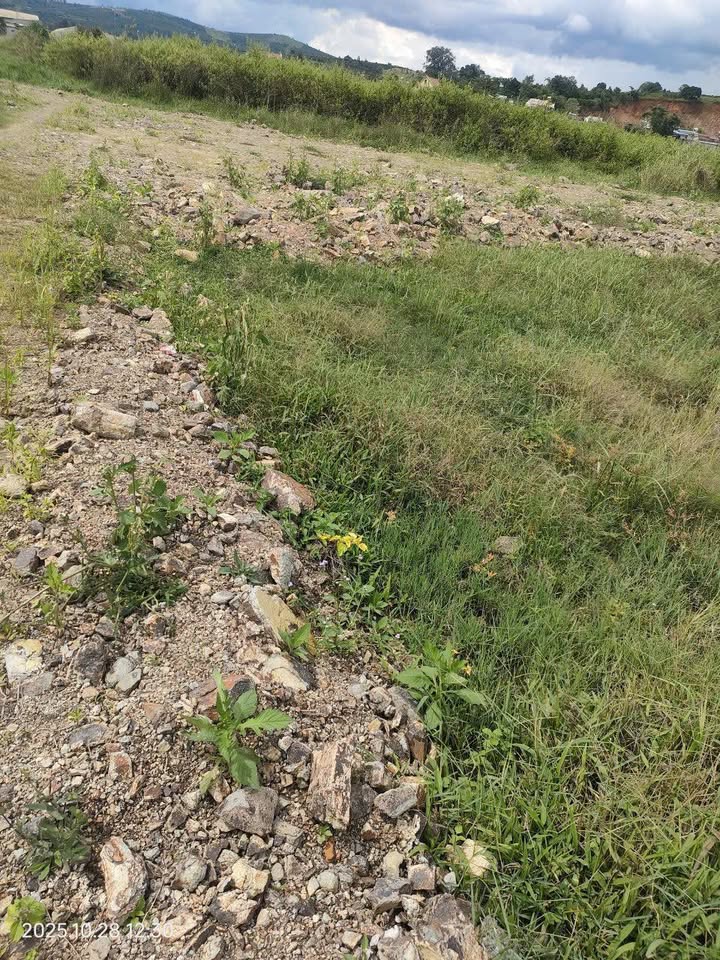 Đất ruộng Tân Văn Lâm Hà 5400m² giá 450 triệu - Cơ hội đầu tư giá tốt!