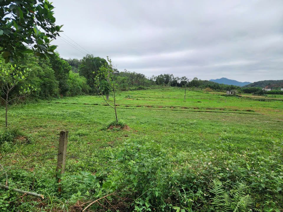 Đất nông nghiệp 2ha tại Hồng Kỳ, Sóc Sơn - Pháp lý đầy đủ, giá 5.7 tỷ!