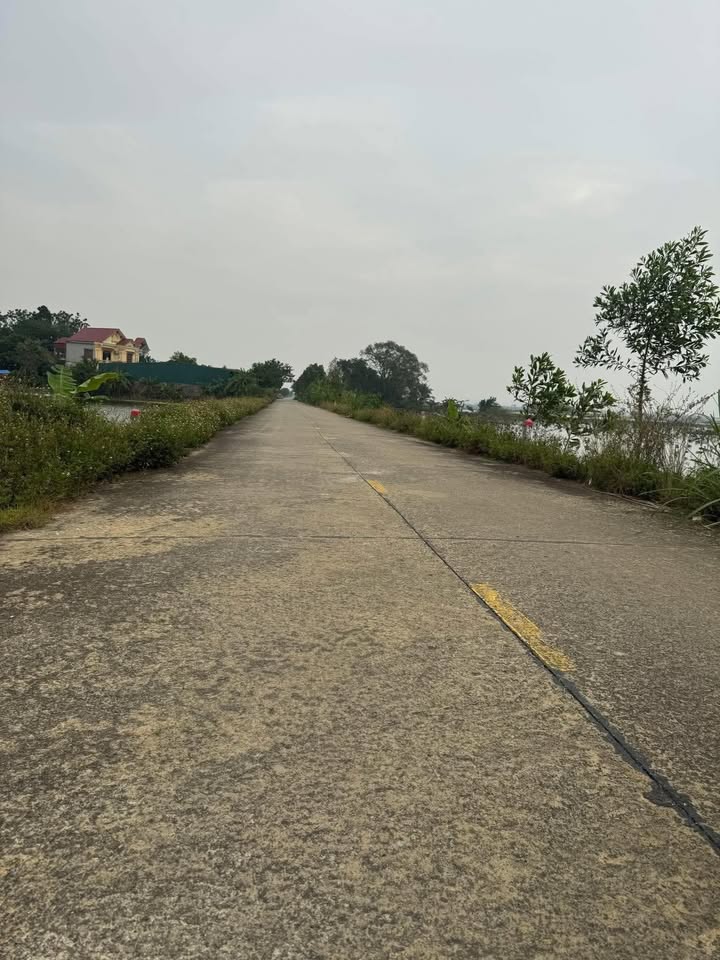 Đất thổ cư xã Thanh Sơn, Nho Quan, Ninh Bình 200m² - Giá chỉ 1.3 tỷ!