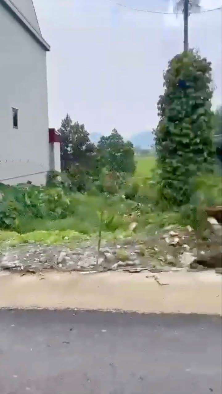 Đất nền Ninh Hoà, Hoa Lư, Ninh Bình 105m² giá 3.XXX - Nơi lý tưởng để an cư!