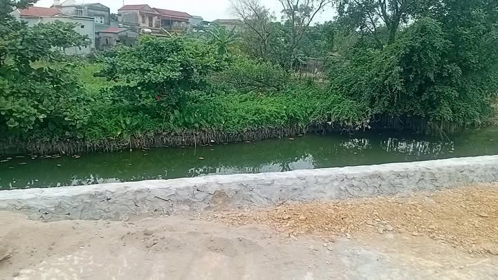 Đất mặt đường Trịnh Tú, Hoa Lư, Ninh Bình 300m² giá thỏa thuận - Cơ hội đầu tư hấp dẫn!