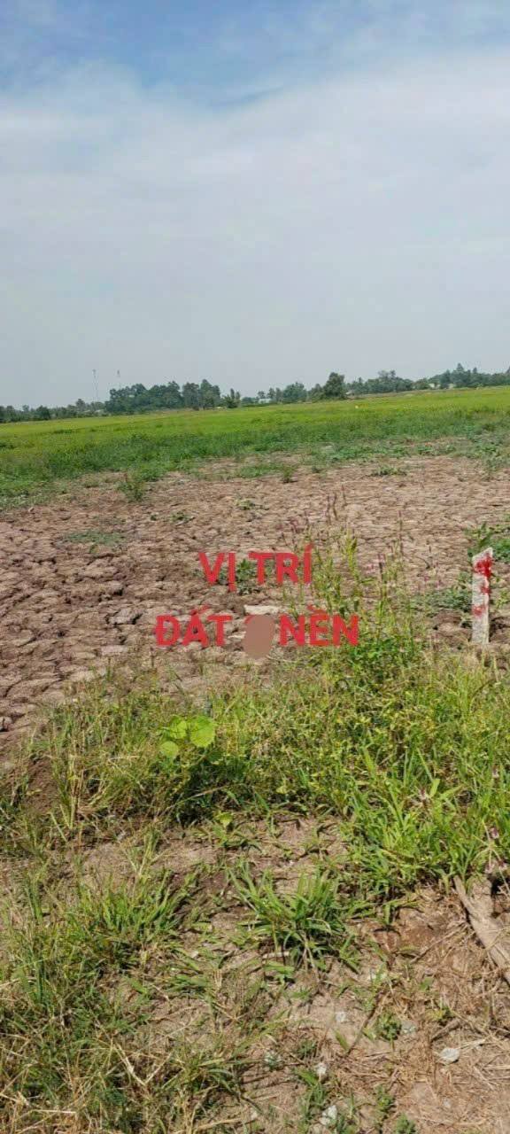 Đất nền 301m² tại xã Giục Tượng, huyện Châu Thành - Giá chỉ 350 triệu!