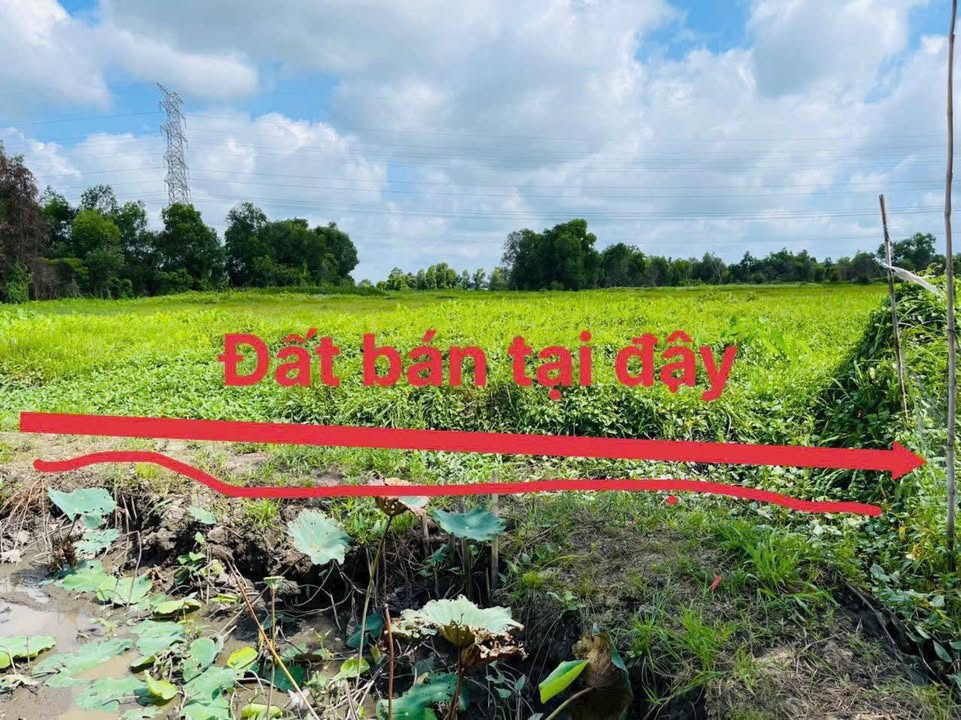 Đất vườn 219m² Tân Thạnh Tây Củ Chi giá 480 triệu - Cơ hội đầu tư tuyệt vời!