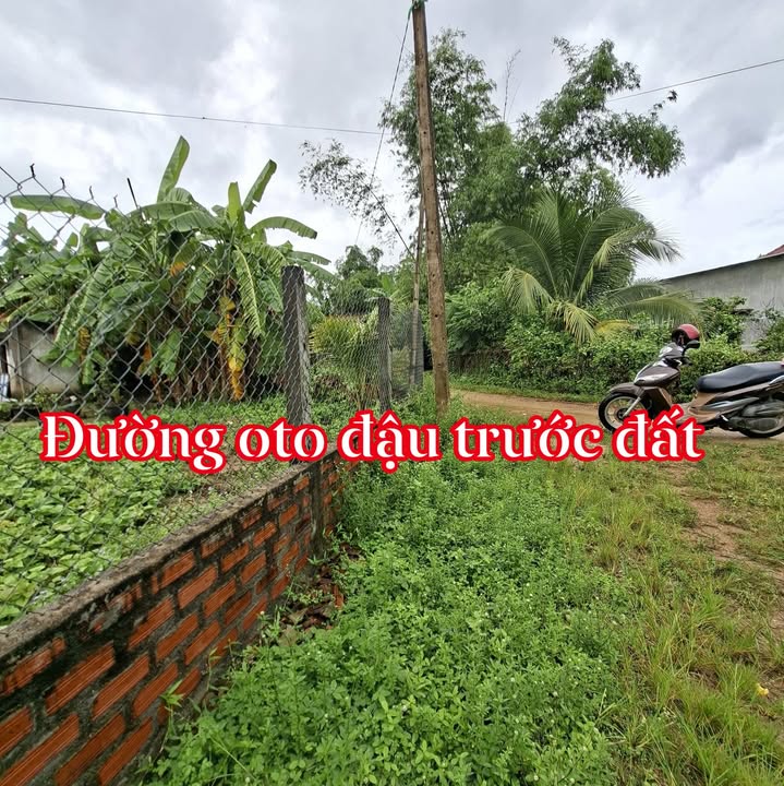 Bán đất Cát Trinh Phù Cát 140m² giá 299 triệu - Vị trí góc đắc địa!