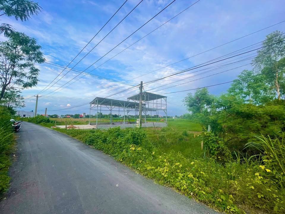 Đất 2 mặt tiền view kênh N8 tại Gò Công Tây 187m² giá 370 triệu - Sẵn sàng đầu tư!