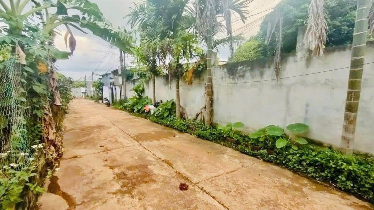 Đất nền liền kề Hẻm 103 Y Niksor 105m² giá 2.4 tỷ - Đầu tư sinh lời ngay!