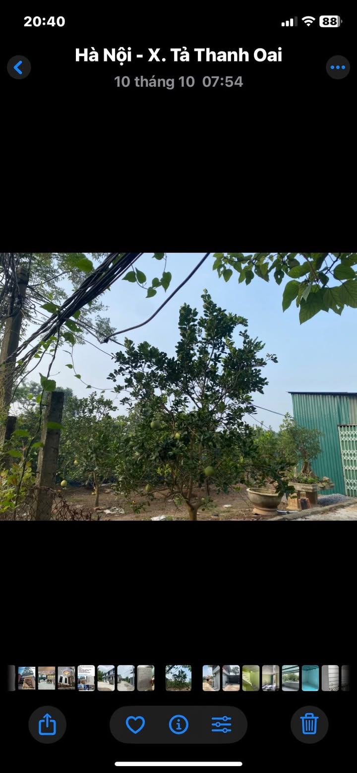 Bán gấp nhà vườn 1500m² tại Tả Thanh Oai - Giá chỉ 3.9 tỷ