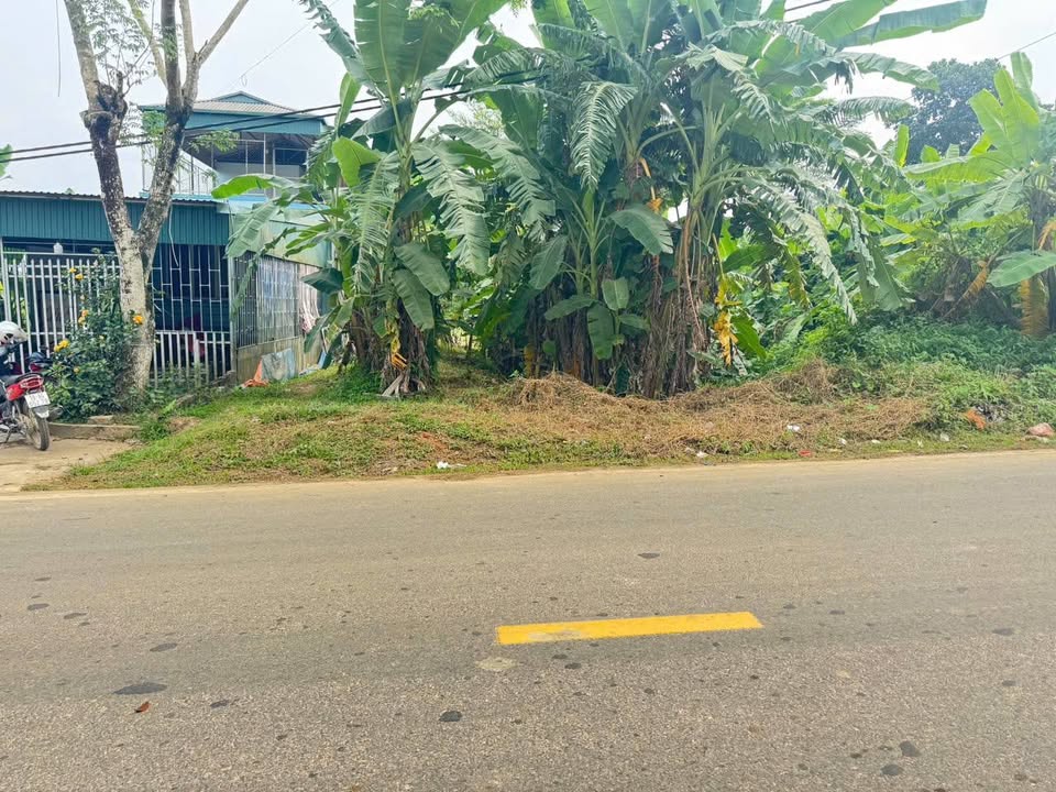 Đất thổ cư 100m² tại Sơn Lương, Yên Lập - Cơ hội đầu tư không thể bỏ qua!