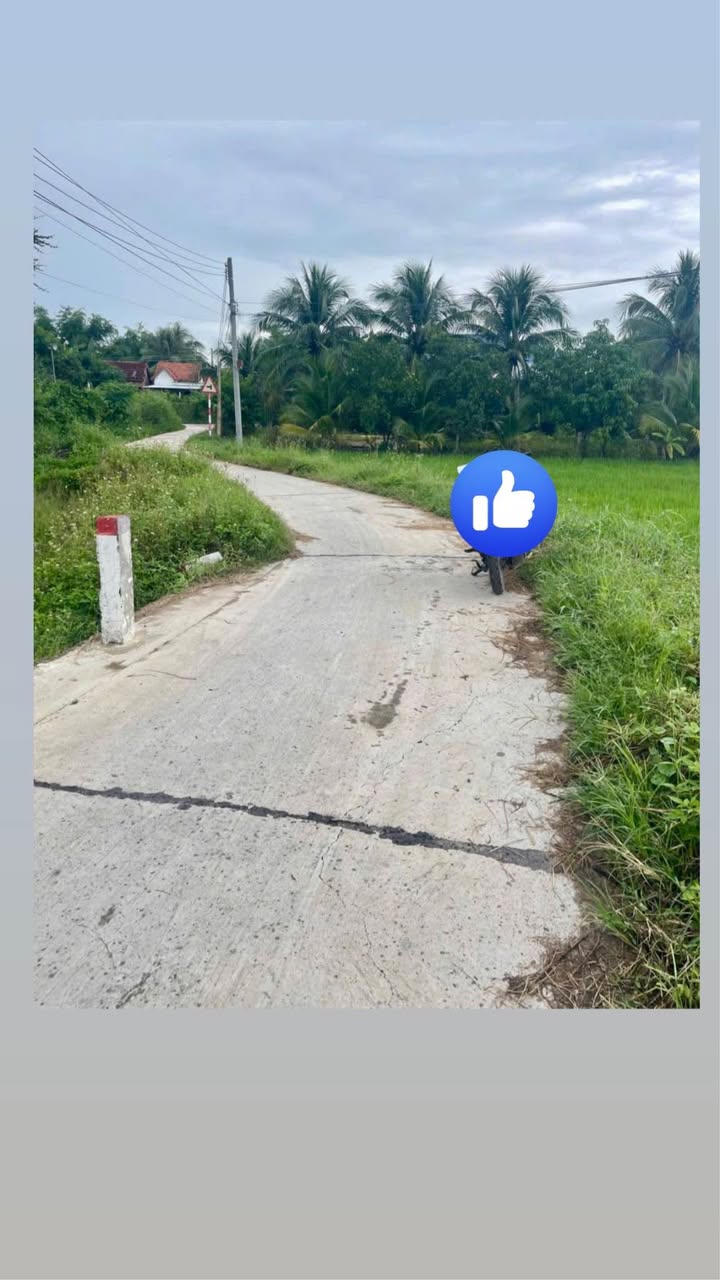 Đất Nền Bán Gấp Tại Ninh An 16.200m² Giá Chỉ 1.53 Tỷ - Cơ Hội Đầu Tư Hiếm Có!