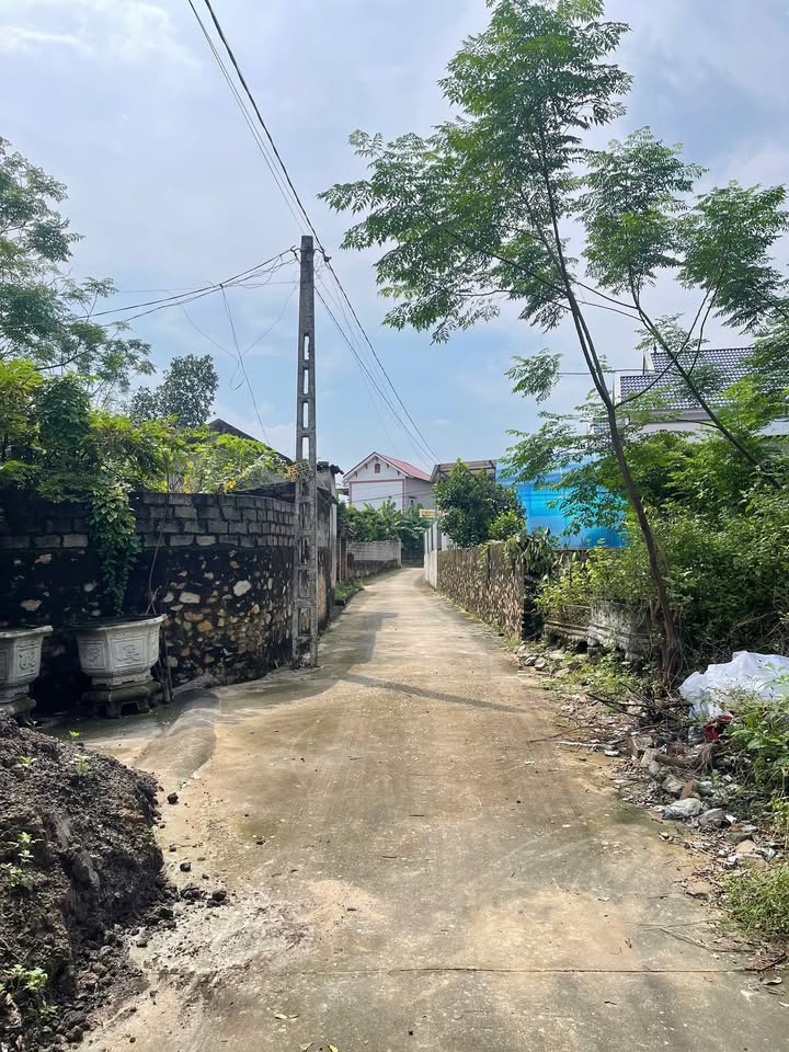 Đất nền chính chủ tại Lan Mẫu, Lục Nam 104m² giá 700 triệu - Vị trí đắc địa gần khu công nghiệp