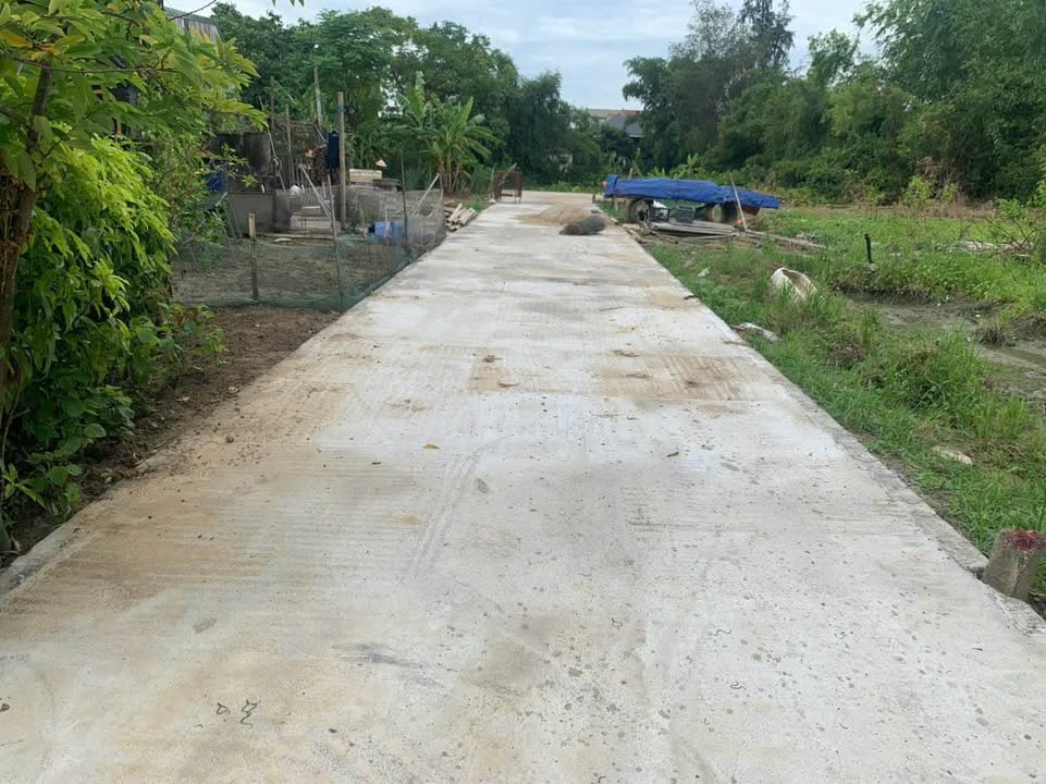 Đất Nền Nghi Kim 89m² giá 1.33 tỷ - Vị trí đắc địa, gần chợ trường học!