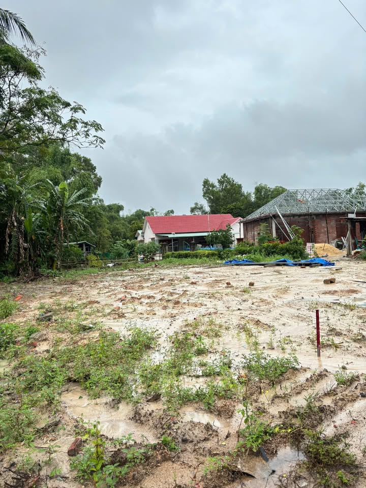 Đất nền Cát Trinh, Phù Cát 140m² giá chỉ 330 triệu - Sổ đỏ chính chủ!