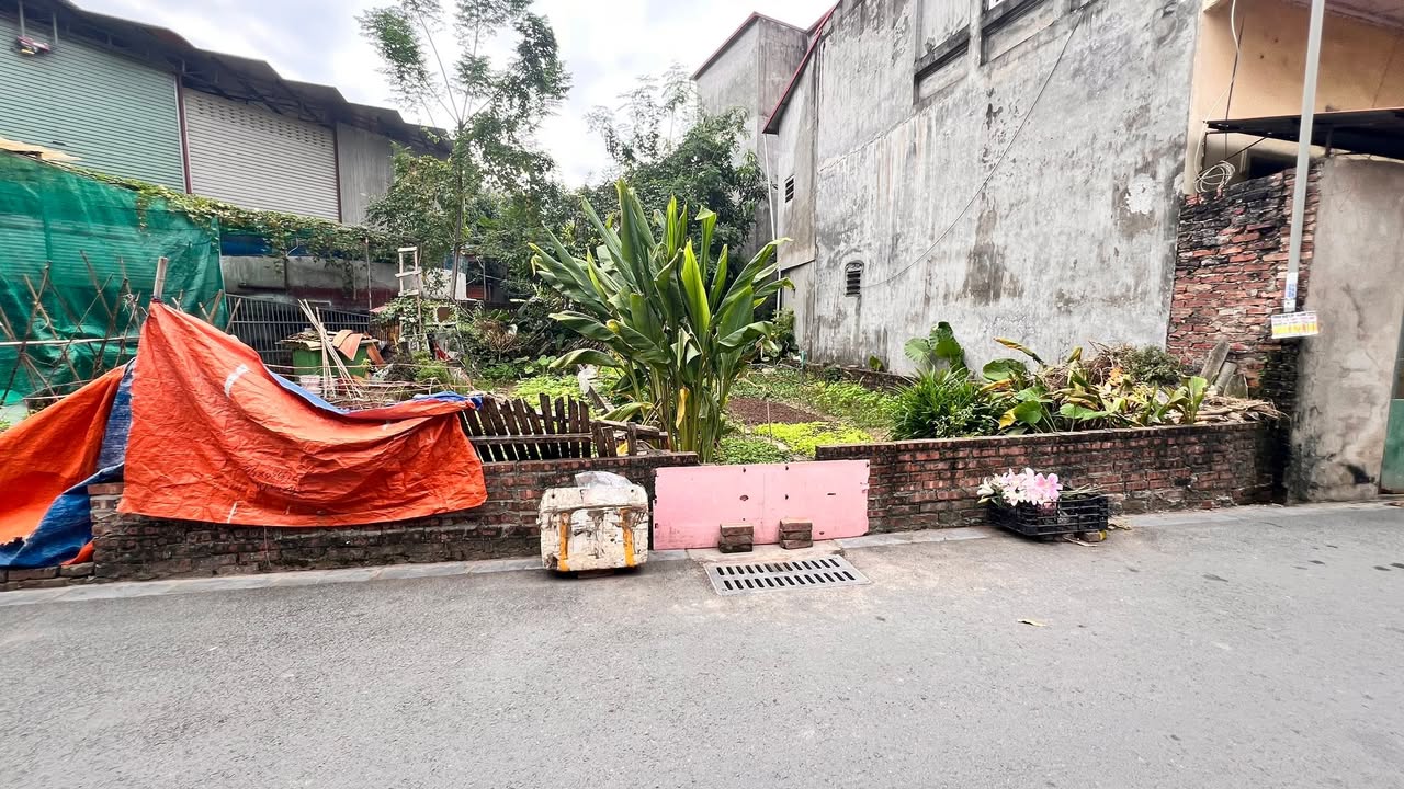 Đất nền lô góc Đại Mạch, Đông Anh, 44m² giá 4 tỷ - Cơ hội đầu tư tuyệt vời!