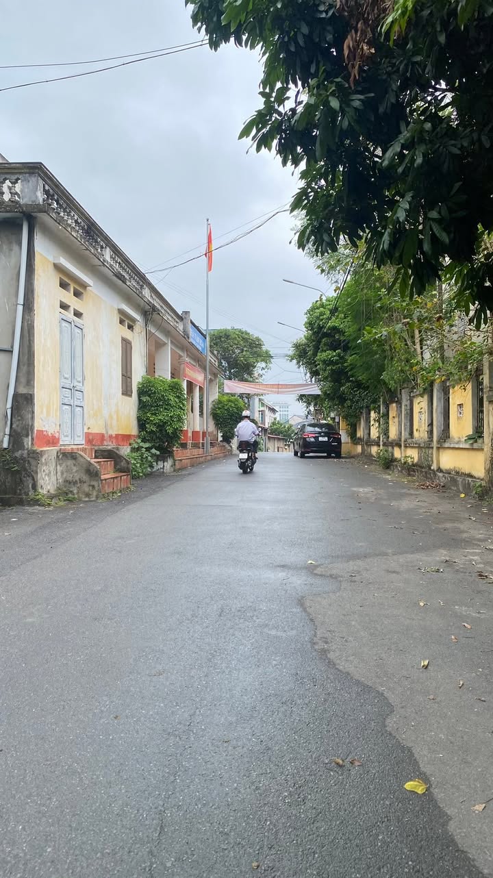 Đất Tân Thành, Việt Trì 72m² giá 3 tỷ - Khu vực phát triển sôi động!