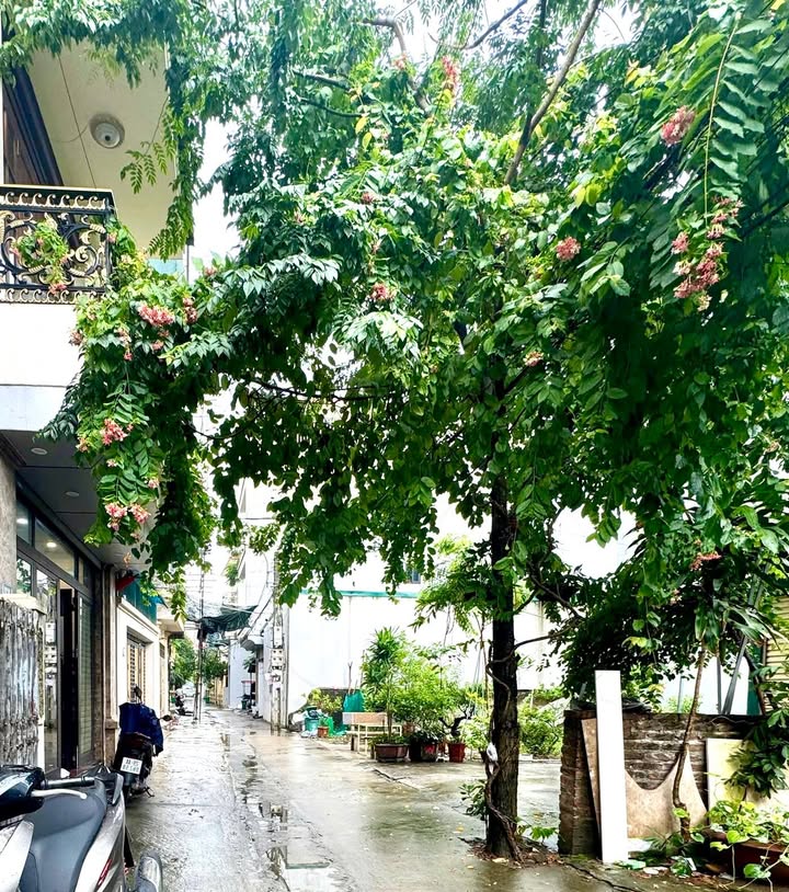 Đất nền An Khánh 43m² giá 6 tỷ – Cơ hội vàng cho nhà đầu tư!