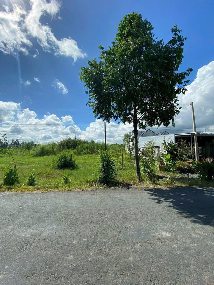 Đất thổ cư mặt tiền ĐH35, Tân Long Hội, 159m² - Đầu tư sinh lời lý tưởng!