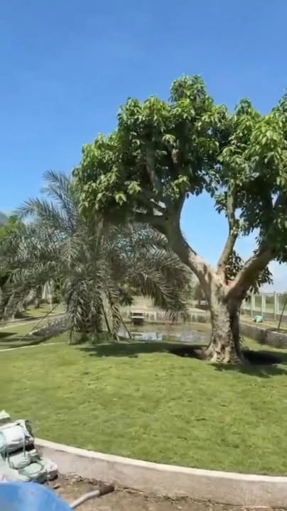 Biệt thự nhỏ xinh 1350m² giá 4.5 tỷ - Không gian yên tĩnh tuyệt vời!