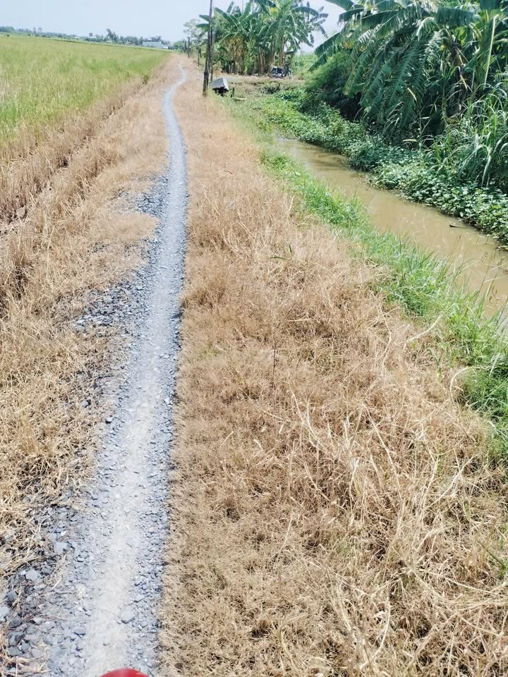 Đất nền 300m² Tân Thành, Gò Công Đông giá chỉ 170 triệu - Cơ hội đầu tư tuyệt vời!